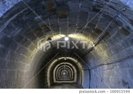 充滿懷舊氣息的隧道（愛知縣豐田市舊伊勢上隧道） 100915599