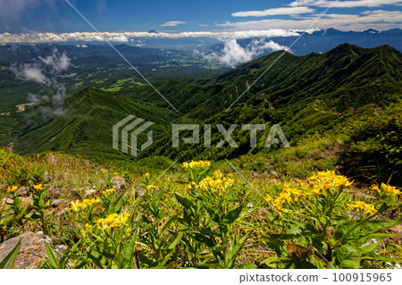 Mt.Fuji above the clouds 100915965