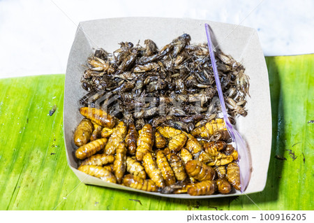 Deep fried silk worm and grass hopper are popular street food delicacy in Thailand Deep fried silk worm and grass hopper are popular street food delicacy in Thailand 100916205
