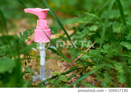 Pink spray among the delicate green grass on the sand Pink spray among the delicate green grass on the sand 100917190