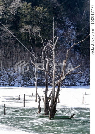 A lake of snow, ice, and standing dead trees Natural lake A lake of snow, ice, and standing dead trees Natural lake 100917775