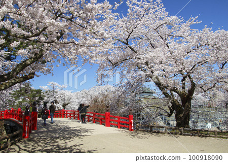Hirosaki Castle stone wall repair in spring (2021: Hirosaki City, Aomori Prefecture) 100918090