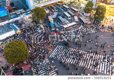 Tokyo cityscape in Japan WBC final match…Samurai Japan, the world's best wish. Cherry blossoms in full bloom in Tokyo…Busy Shibuya = March 22 100918201