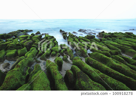 綠石盆、潮汐溝、海蝕溝 100918278