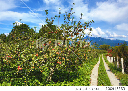 蘋果種植園景觀與步道 100918283