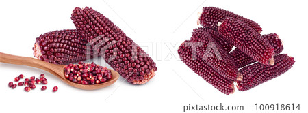 Purple corn or maize isolated on white background with full depth of field. Top view. Flat lay 100918614
