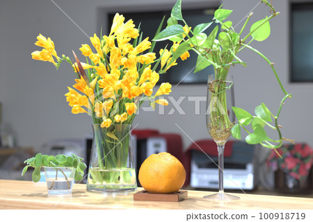 小蒼蘭和芳香植物 小蒼蘭和芳香植物 100918719