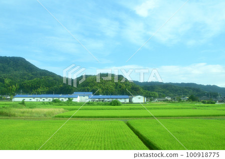 Scenery from Yamanokuchi Station on the Nippo Main Line to Kagoshima Station in the early morning of the summer of 2022 with a cloudy sky 100918775