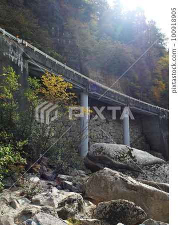 Kiso Pier surrounded by autumn leaves Kiso Pier surrounded by autumn leaves 100918905