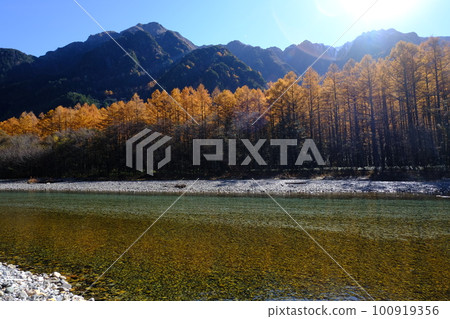 Azusa 河河面和黃色落葉松林,秋季 Kamikochi Azusa 河河面和黃色落葉松林,秋季 Kamikochi 100919356