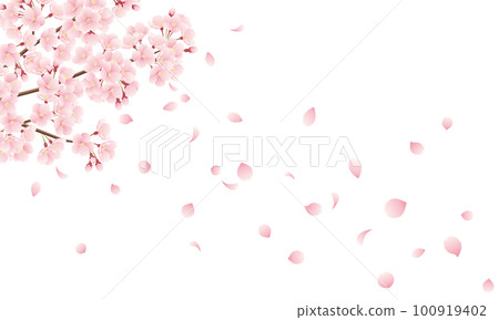 飄落的櫻花花瓣插畫 飄落的櫻花花瓣插畫 100919402
