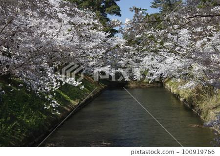 弘前公園護城河(青森縣弘前市) 弘前公園護城河(青森縣弘前市) 100919766