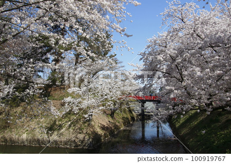 Hirosaki Park moat (Hirosaki City, Aomori Prefecture) 100919767