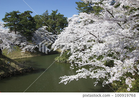 弘前公園護城河(青森縣弘前市) 弘前公園護城河(青森縣弘前市) 100919768