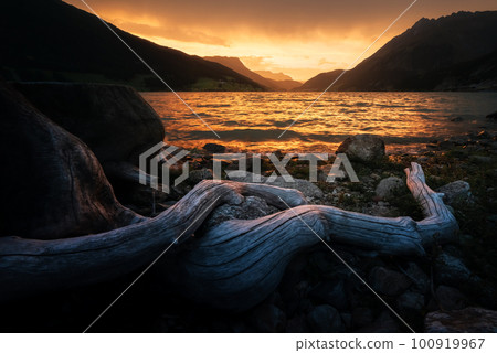 Stunning landscape with famous lake Resia 100919967