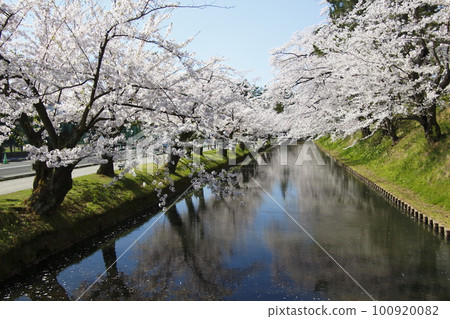 弘前公園外護城河（青森縣弘前市） 100920082