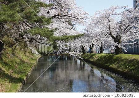 弘前公園外護城河（青森縣弘前市） 100920083