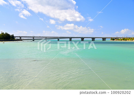 眺望豪德川高架橋（沖繩縣豐見城市）[2023年2月] 100920202