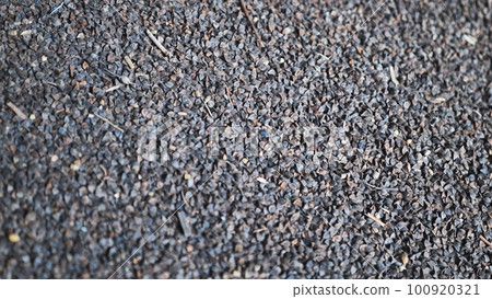 Unprocessed buckwheat groats in stock. 100920321
