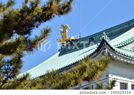 Golden Shachi seen from below Golden Shachi seen from below 100920354