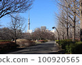 從紗江公園看到的東京晴空塔 100920565
