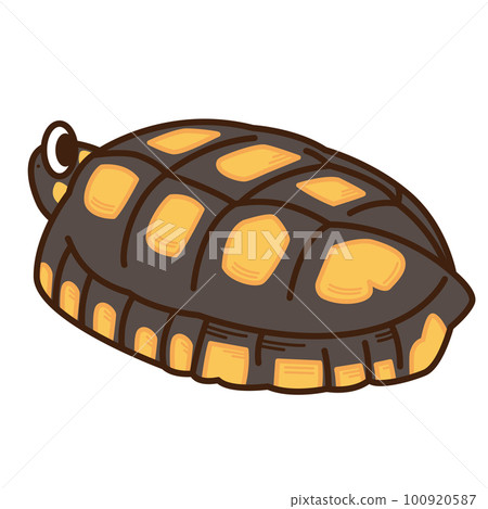 Yellow turtle Yellow turtle 100920587