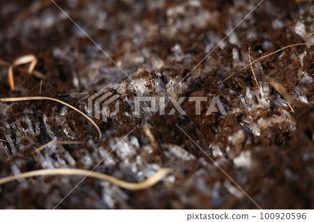 frost pillar frost pillar 100920596