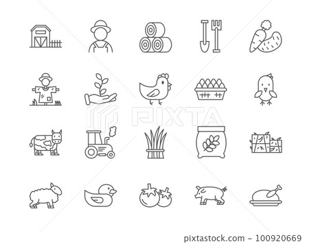 Agriculture line icons. Farm symbols. Farmer and harvest tractor. Livestock like cow and pig. Eco chicken food. Farming field scarecrow. Agronomy outline signs. Vector stroke pictograms set Agriculture line icons. Farm symbols. Farmer and harvest tractor. Livestock like cow and pig. Eco chicken food. Farming field scarecrow. Agronomy outline signs. Vector stroke pictograms set 100920669