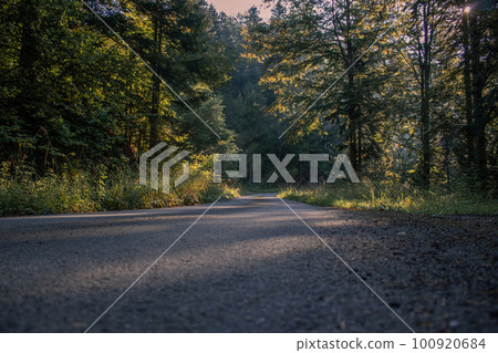 Road through morning mountains forest 100920684