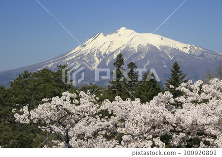 Iwaki seen from Hirosaki Park in spring (Hirosaki City, Aomori Prefecture) Iwaki seen from Hirosaki Park in spring (Hirosaki City, Aomori Prefecture) 100920801