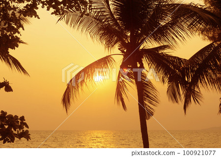 Silhouette coconut palm tree on sea and sunset sky background Silhouette coconut palm tree on sea and sunset sky background 100921077