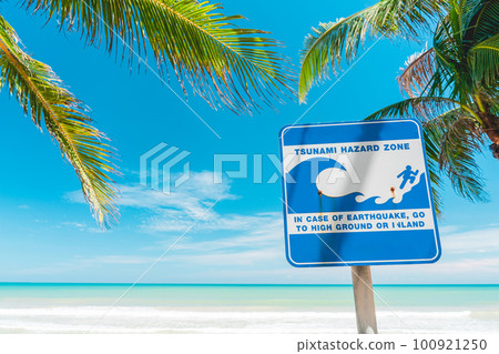 Tsunami sign and palm tree on blue sky and white clouds abstract background. Tsunami sign and palm tree on blue sky and white clouds abstract background. 100921250