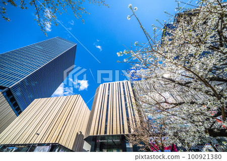Tokyo cityscape in Japan View of Hareza Ikebukuro and cherry blossoms at the east exit of Ikebukuro Station 100921380