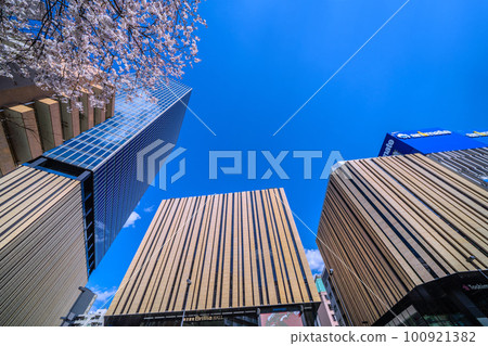 日本東京城市景觀 Hareza 池袋和池袋站東口的櫻花 100921382