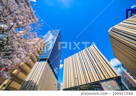 Tokyo cityscape in Japan View of Hareza Ikebukuro and cherry blossoms at the east exit of Ikebukuro Station Tokyo cityscape in Japan View of Hareza Ikebukuro and cherry blossoms at the east exit of Ikebukuro Station 100921388