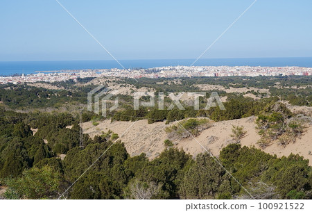 Panorama of townscape of african city of ESSAOUIRA in MOROCCO 100921522