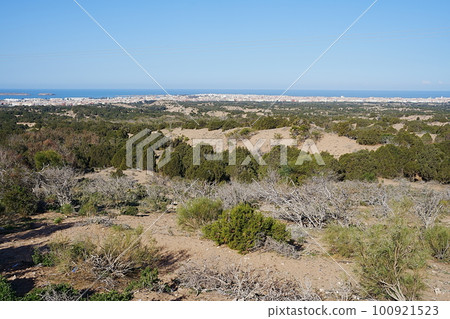 Landscape with cityscape of african city of ESSAOUIRA in MOROCCO Landscape with cityscape of african city of ESSAOUIRA in MOROCCO 100921523