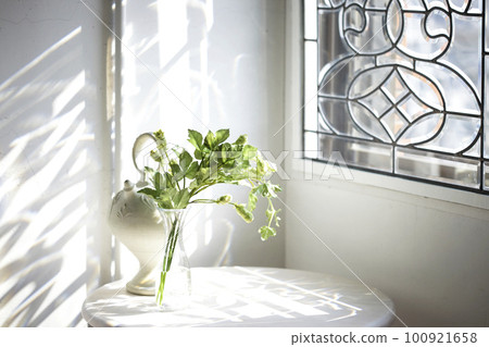 帶彩色玻璃窗的房間光及其陰影和靜物（水罐和綠色） 100921658