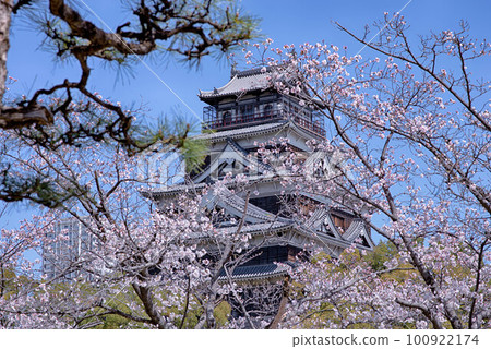 被櫻花包圍的廣島城 100922174