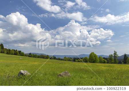 Typicallandscape near Modrava, Nation park Sumava, Czech Republic Typicallandscape near Modrava, Nation park Sumava, Czech Republic 100922319