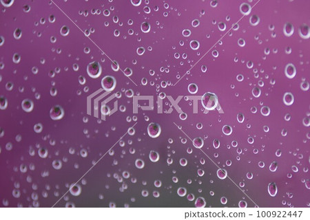 Hydrangea behind a vinyl umbrella Hydrangea behind a vinyl umbrella 100922447