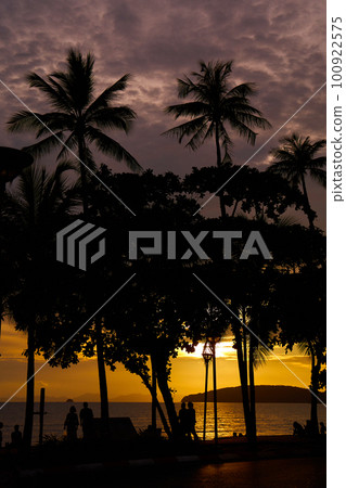 Sunset at the seashore. Listening to people walking among the palm trees 100922575