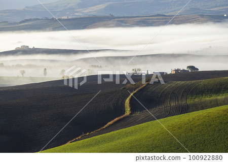 Typical Tuscan morning autumn landscape, Val D'Orcia, Tuscany, Italy 100922880