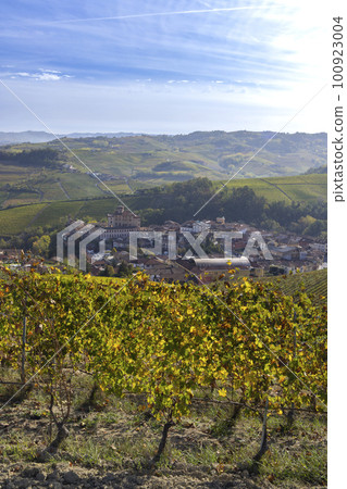 autumnal vineyards near Barolo, Piedmont, Italy 100923004