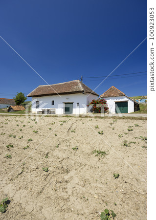 Traditional wine cellars street in Diepolz near Mailberg, Lower Austria, Austria Traditional wine cellars street in Diepolz near Mailberg, Lower Austria, Austria 100923053