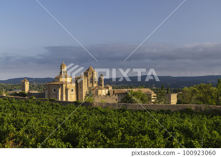 Royal Abbey of Santa Maria de Poblet, cistercian monastery, Catalonia, Spain 100923060