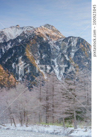 Kamikochi Trees with hoarfrost and Azusa River 100923845