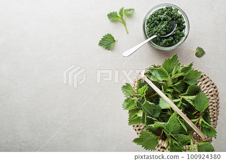 Nettle leaves 100924380