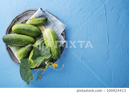 Cucumber Cucumber 100924413