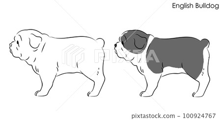 Sideways simple and cute bulldog line drawing illustration 100924767
